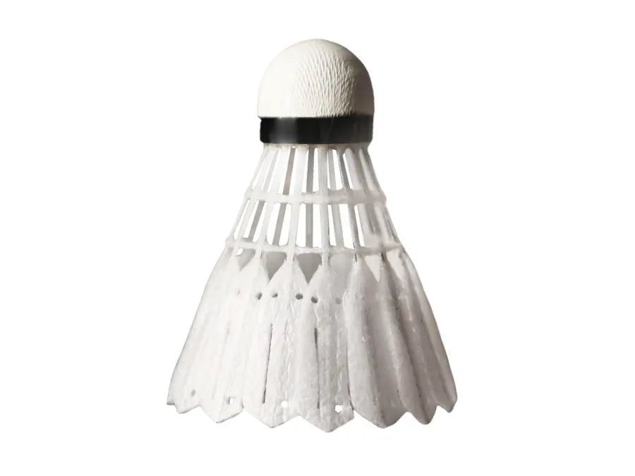 VICTOR New Carbonsonic PRO Shuttlecocks